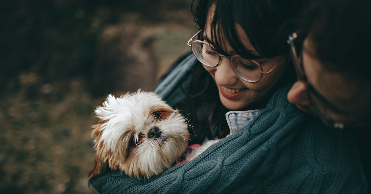 Adopting More Pets Improves Happiness!