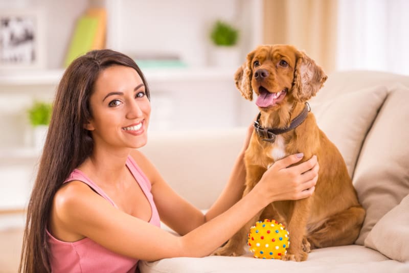 Smiling woman with happy Cocker Spaniel puppy with a ball