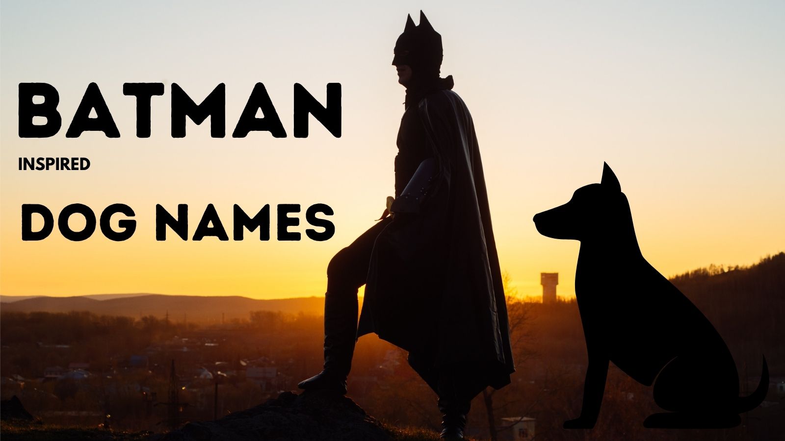 Batman Dog Names!