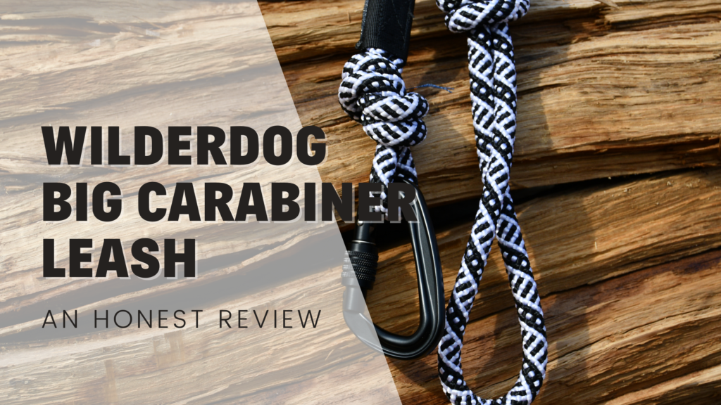 Wilderdog big carabiner leash an honest review black and white rope dog lead leash