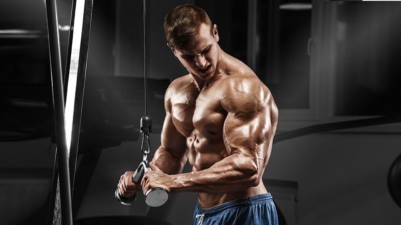 How to Do Tricep Pushdowns The Correct Way