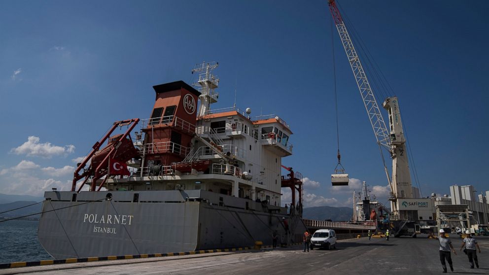 The cargo ship Polarnet arrives to Derince port in the Gulf of Izmit, Turkey, Monday Aug. 8, 2022. The first of the ships to leave Ukraine under a deal to unblock grain supplies amid the threat of a global food crisis arrived at its destination in Tu