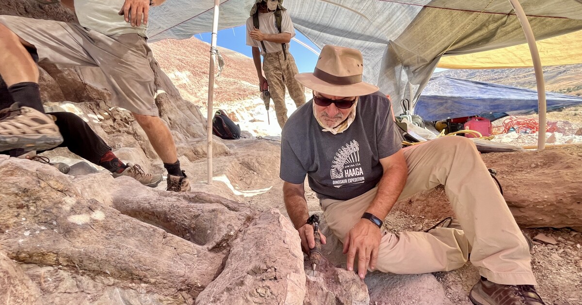 Bones, sweat and years: What it takes to dig up a dinosaur