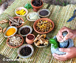 Ayurveda Day: More Than 30 Countries Recognized Ayurveda as Traditional Medicine