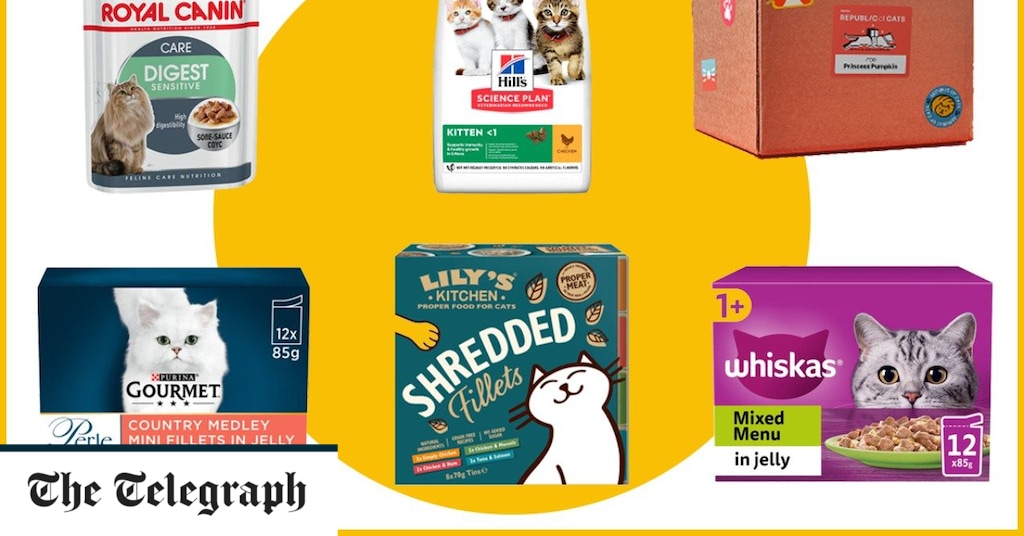 The best cat food of 2023, recommended by a vet – including new online cat food delivery services