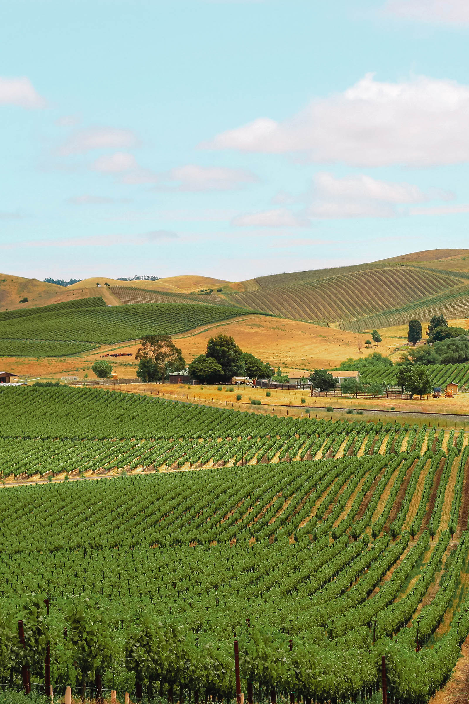 11 Best Things To Do In Napa Valley, California