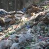 World Environment Day Solutions for Plastic Pollution — Global Issues