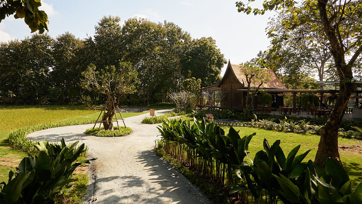 New Luxury Tented Camp Debuts in Chiang Rai, Thailand